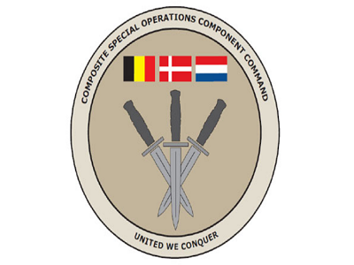 Composite Special Operations Component Command reaches full operational capability